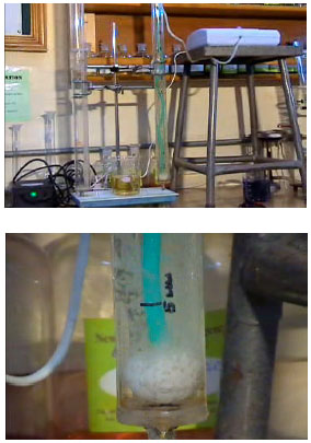 Image for - Advanced (Ozone) and Conventional (Biological) Techniques for the Disinfection of UASB Treated Effluent