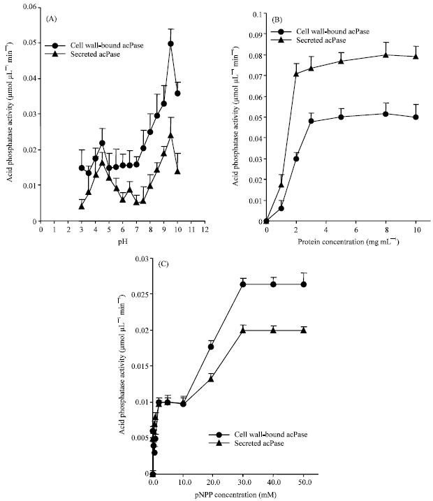 Image for - Isolation and Characterization of Phosphatase Enzyme from the Freshwater Macroalga Cladophora glomerata Kützing (Chlorophyta)