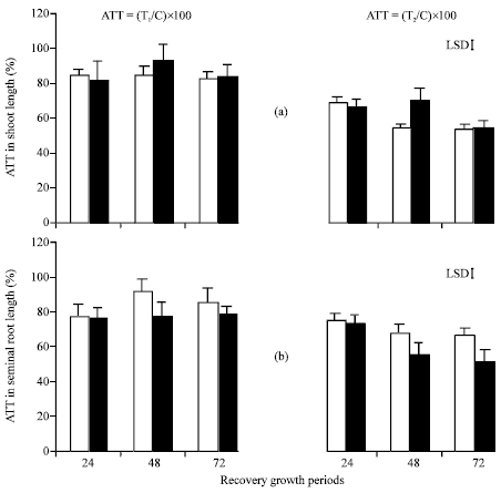 Image for - High Temperature Responses of Aegilops biuncialis Species and Triticum durum Cultivar