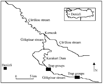 Image for - Field Experiment on Drift and Colonization of Benthic Macroinvertebrate in Gökpinar Stream (Denizli, E Turkey)
