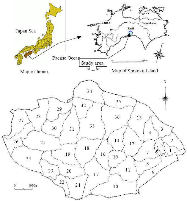 Image for - Expansion Characteristics of Bamboo Stand and Sediment Disaster in South Western Japan