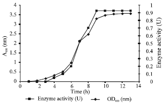 Image for - Development of an Enzyme Assay and Preliminary Kinetic Studies for the Enzyme (s) from Candida troplicalis RETL-Crl Involved in Phenol Degradation
