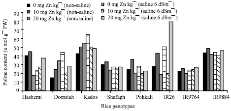 Image for - Zinc and Salinity Interaction on Agronomical Traits, Chlorophyll and Proline Content in Lowland Rice (Oryza sativa L.) Genotypes