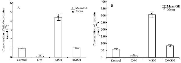 Image for - Effects of Melanocyte-stimulating Hormone on Serum Levels of Thyroid Hormones in Short-term Alloxan-induced Diabetic Rats