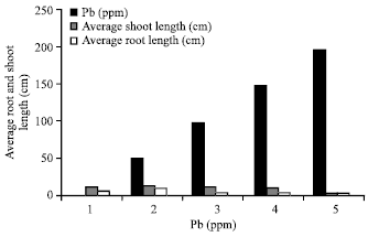 Image for - Phytotoxicity of Pb: II. Changes in Chlorophyll Absorption Spectrum due to Toxic Metal Pb Stress on Phaseolus mungo and Lens culinaris