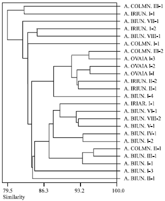 Image for - Hybridization in Turkish Aegilops L. Species
