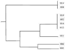Image for - Genetic Differentiation and Phylogenetic Relationships Among Barbus xanthopterus (Cyprinidae) Populations in Southwest of Iran Using Mitochondrial DNA Markers
