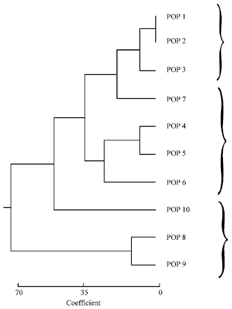Image for - Studies on Genetic Diversity in Pakistani Wheat Varieties using Randomly Amplified Polymorphic DNA
