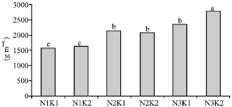 Image for - The Effect of Nitrogen and Potassium Fertilizers on the Growth Parameters and the Yield Components of Two Sweet Sorghum Cultivars