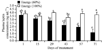 Image for - The Effects of Energy on the Gonadotrophins Secretion are Mediated by Leptin in Ewes