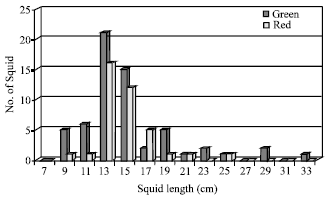 Image for - Effect of Jigs Color to Catching Efficiency in the Squid Fishing in Turkey