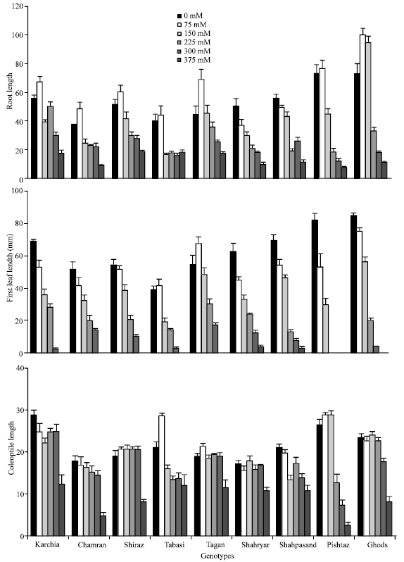 Image for - Salinity (NaCl) Tolerance of Wheat Genotypes at Germination and Early Seedling Growth