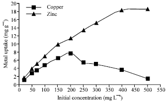 Image for - Biosorption and Recovery of Copper and Zinc from Aqueous Solutions by Nonliving Biomass of Marine Brown Algae of Sargassum sp.