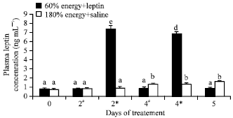 Image for - The Effects of Energy on the Gonadotrophins Secretion are Mediated by Leptin in Ewes