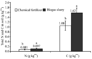 Image for - Nutrients Dynamics in Komatsuna (Brassica campestris L.) Growing Soil Fertilized with Biogas Slurry and Chemical Fertilizer Using15N Isotope Dilution Method