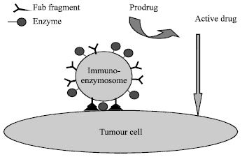 Image for - Liposome as a Carrier for Advanced Drug Delivery