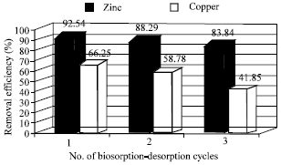 Image for - Biosorption and Recovery of Copper and Zinc from Aqueous Solutions by Nonliving Biomass of Marine Brown Algae of Sargassum sp.