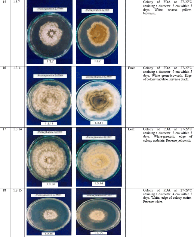 Image for - Isolation of Endophytic Fungi from Brucea javanica L. (Merr.) and Cytotoxic Evaluation of their n-butanol Extract from Fermentation Broth