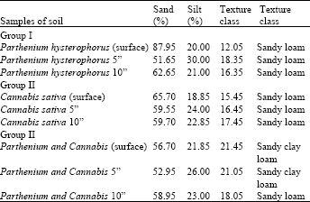 Image for - Effects of Parthenium hysterophorus L. on Soil Characteristics Initially Inhabited to Cannabis sativa L.
