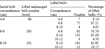 Image for - Effect of Bulb Circumference on Bulb Yield and Bulblet Formation Capacity of Sternbergia lutea (L.) Ker-Gawl. Ex Sprengel (Winter Daffodil)