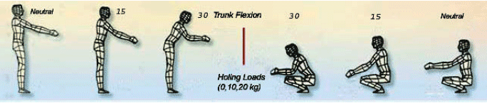 Image for - Evaluation of Spinal Internal Loads and Lumbar Curvature under Holding Static Load at Different Trunk and Knee Positions