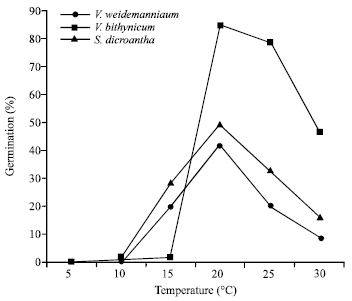 Image for - Effect of Temperature, Light, Seed Weight and GA3 on the Germination of Verbascum bithynicum, Verbascum wiedemannianum and Salvia dicroantha 