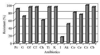 Image for - Antibacterial Effects of Water Soluble Green Tea Extracts on Multi-Antibiotic Resistant Isolates of Acinetobacter sp.
