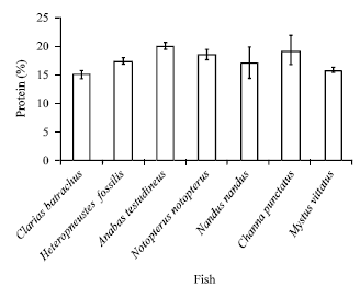 Image for - Biochemical Composition of Some Small Indigenous Fresh Water Fishes from the River Mouri, Khulna, Bangladesh