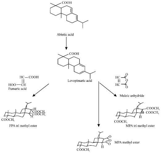 Image for - Reaction of Abietic Acid with Maleic Anhydride and Fumaric Acid and Attempts to Find the Fundamental Component of Fortified Rosin