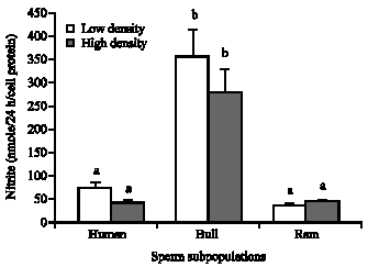 Image for - In vitro Production of Nitrite by Low and High Density Sperm Subpopulations of Human, Bull and Ram