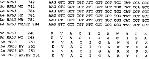 Image for - Double Mutation in Tomato Ribosomal Protein L3 cDNA Confers Tolerance to Deoxynivalenol (DON) in Transgenic Tobacco