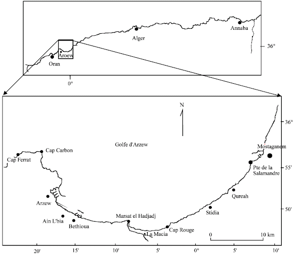 Image for - Description of the Macrobenthic Population in the Gulf of Arzew in Northwestern Algeria