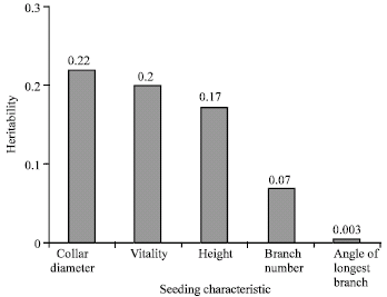 Image for - Heritability of Some Characteristics of Sorbus torminalis Seedling