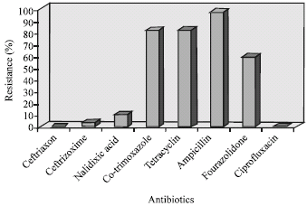 Image for - The Prevalence and Antibiotic Resistance of Shigella sp. Recovered from Patients Admitted to Bouali Hospital, Tehran, Iran During 1999-2001
