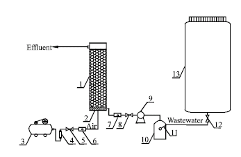 Image for - The Treatment of Wastewater Containing Crude Oil with Aerated Submerged Fixed-Film Reactor
