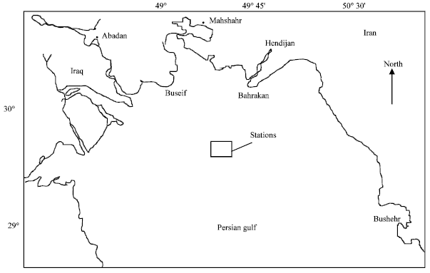 Image for - Population Growth of the Venerid Bivalve Circenita callipyga in the Hendijan Coast, Persian Gulf