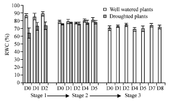 Image for - Effects of Timing and Defoliation Intensity on Growth, Yield and Gas Exchange Rate of Wheat Grown under Well-Watered and Drought Conditions