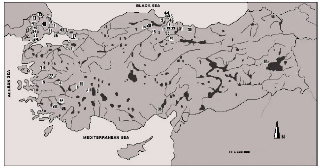Image for - Distribution of Non-Indigenous Fish Species, Prussian Carp Carassius  gibelio (Bloch, 1782) in the Turkish Freshwater Systems
