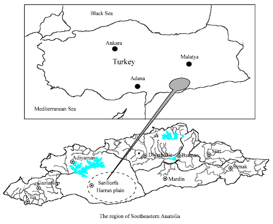 Image for - Some Characteristics of Soils on the Man Made Mounds in The Harran Plain of Turkey