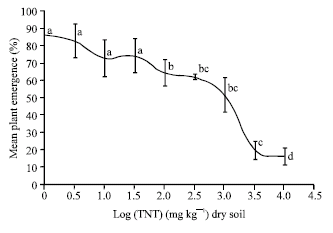 Image for - Soil Decontamination of 2,4,6- Trinitrotoluene by Alfalfa (Medicago  sativa)