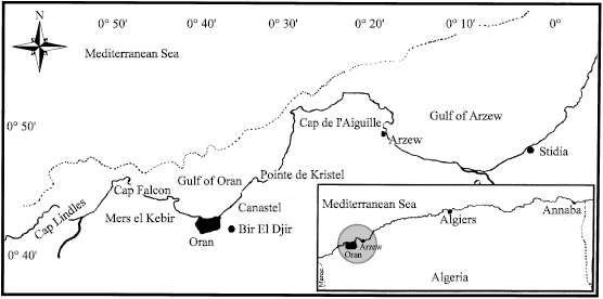 Image for - Distribution of Macrobenthos in the Coastal Waters in the Gulf of Oran (Western Algeria)