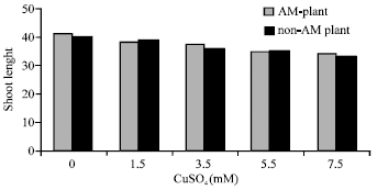 Image for - Effect of Arbuscular Mycorrhiza (Glomus etunicatum) on Some Physiological Growth Parameters of Tomato Plant under Copper Toxicity in Solution