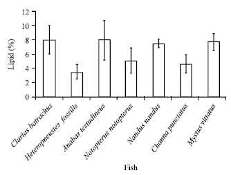Image for - Biochemical Composition of Some Small Indigenous Fresh Water Fishes from the River Mouri, Khulna, Bangladesh