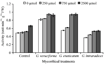 Image for - Effect of Cadmium Toxicity on the Level of Lipid Peroxidation and Antioxidative Enzymes Activity in Wheat Plants Colonized by Arbuscular Mycorrhizal Fungi