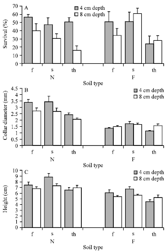 Image for - Effect of Soil, Sowing Depth and Sowing Date on Growth and Survival of Pistacia atlantica Seedlings