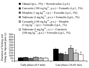 Image for - Interaction Between Curcumin and Opioid System in the Formalin Test of Rats