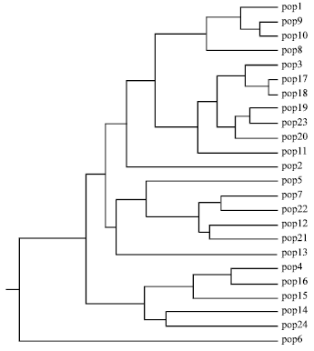 Image for - Assessment of Genetic Diversity in Tea Genotypes Through RAPD Primers