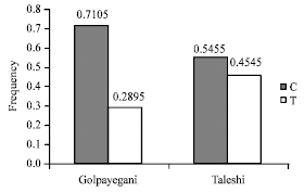 Image for - Leptin Gene Polymorphism in Iranian Native Golpayegani and Taleshi Cows