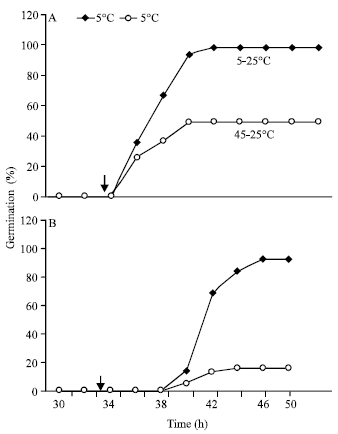 Image for - Sensitivity of Two Wheat Species’s Seeds (Triticum durum, Variety Karim and Triticum aestivum, Variety Salambô) to Heat Constraint During Germination