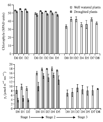 Image for - Effects of Timing and Defoliation Intensity on Growth, Yield and Gas Exchange Rate of Wheat Grown under Well-Watered and Drought Conditions